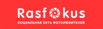 фотографы